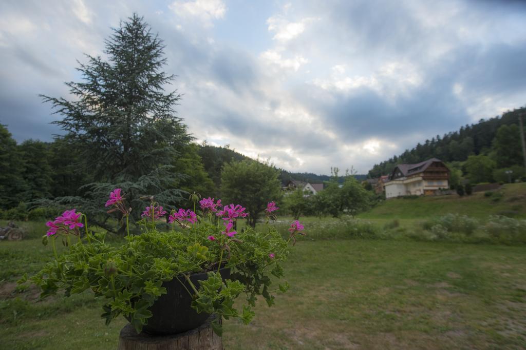 Enz Residenz Hotel Enzklosterle Exterior photo